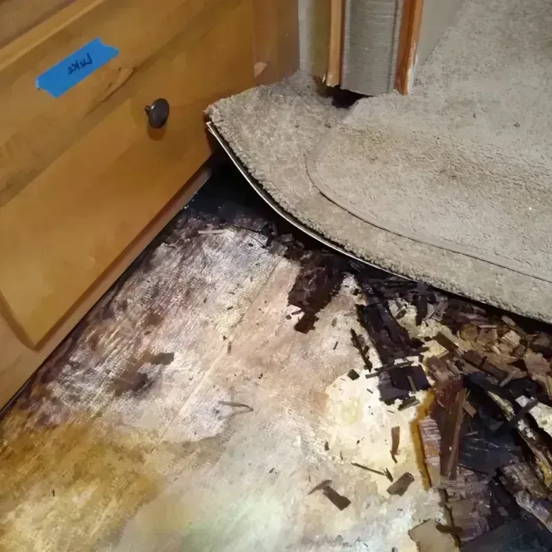 Wood Floor Water Damage in Hammond, LA